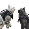 Imbracatura Tattica per Gatti da Passeggio a Prova di Fuga, Imbracatura a Pettorina Morbida in Rete Regolabile per Gatti Grandi, Cani Piccoli