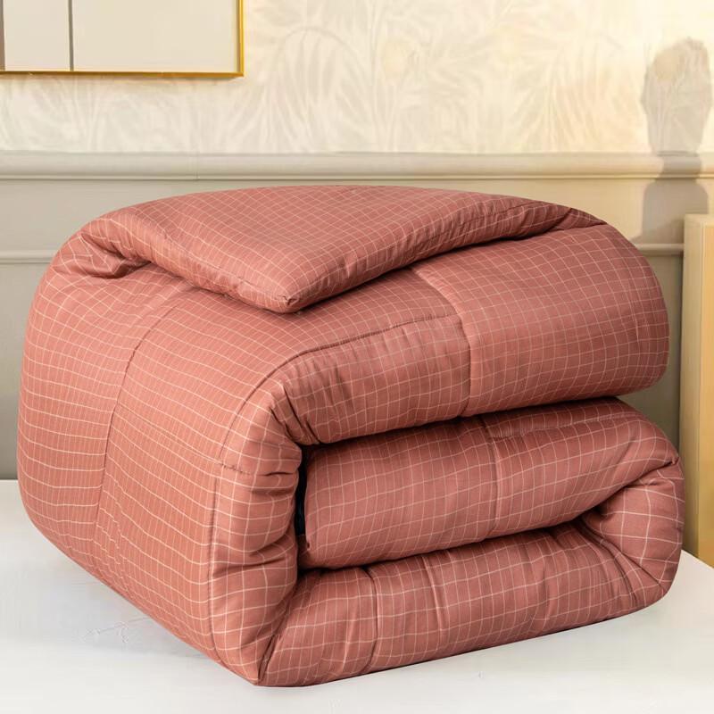 

oeny Dual-Use Winter Quilt