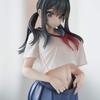 Illustration von der bemalten fertigen Figur Curtain-chan B-Galaxy, nicht maßstabsgetreues PVC und ABS