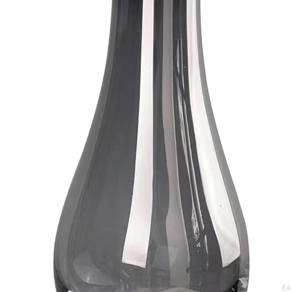 Bud Vases Glass Decor Creative Planter Pot Bottle Flower Vase Narrow Mouth