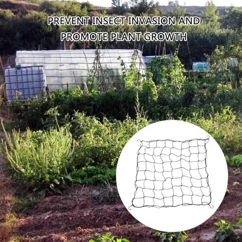 Grow Tent Plant Net Scrog Net 80x80cm Hydroponic Support Plant Net Grid Growth Net, Elastic Grid for Gardening Garden