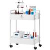 Lab Cart, 2 Tiers Stainless Steel Utility Cart, Medical Cart with 2 Drawers, Rolling Lab Cart White Paint, Serving Cart with Swivel Casters for