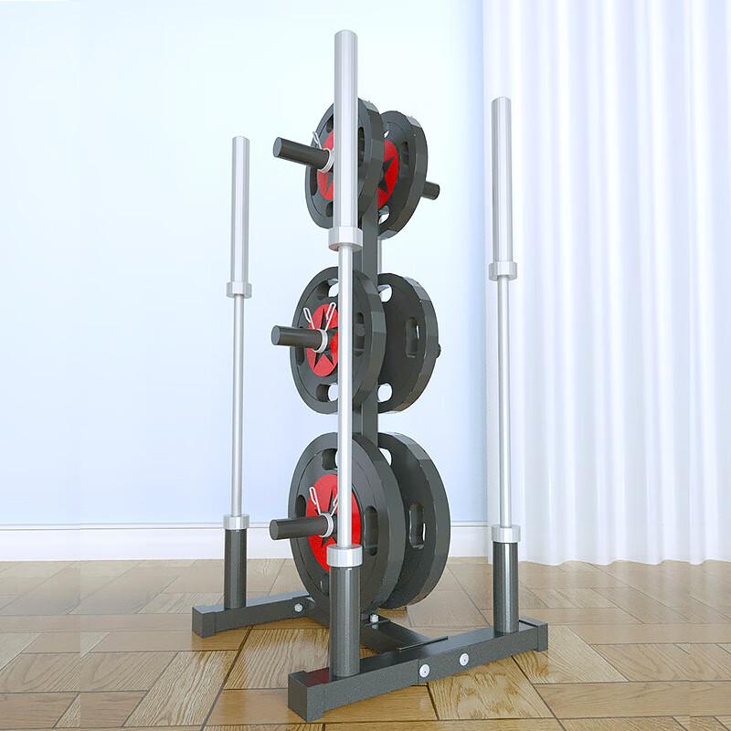 Jinxun Multi-functional Home Gym Storage Rack