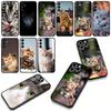 Blue Cat Green Eyes Meow Phone Cover for Samsung Galaxy A36 A17 A26 A07 A35 A54 A53 A13 A33 A34 S8 S9 S20 S21 FE S10 Plus Case