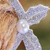 Cute Skirt Doll Ornament Christmas Feature Xmas Tree Pendant Angel Wings Girl Pendant  Dining Room