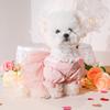 Pretty Dog Lace Skirt Princess Style Summer Dog Clothes Stylish Puppy Wedding Skirt  Dog Clothes