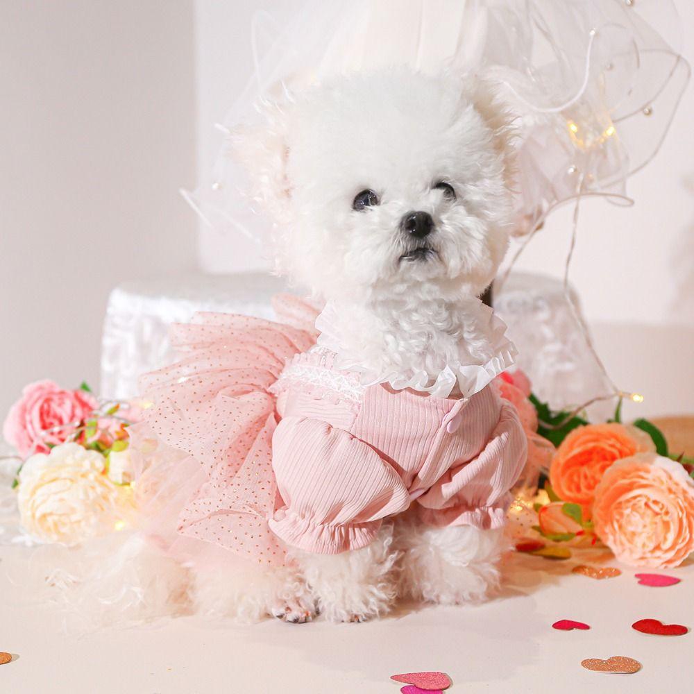 Pretty Dog Lace Skirt Princess Style Summer Dog Clothes Stylish Puppy Wedding Skirt  Dog Clothes
