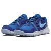 Nike Kostenlose Terra Vista Next Nature Team Royal Herren-Sneaker Tiefkönigsblau Weiß Universitätsblau DM0861-400