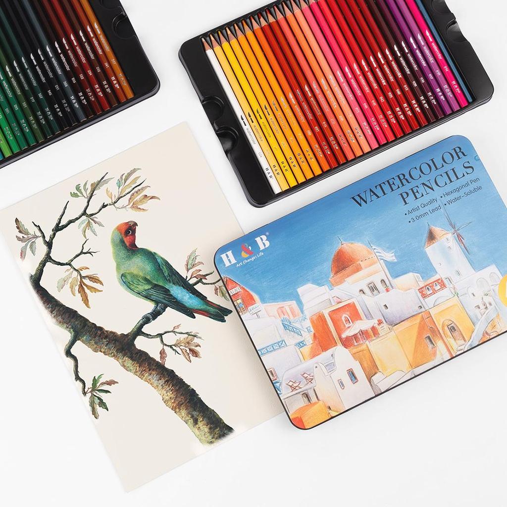 Watercolor Crayons 48 Crayon Set Professional Color Crayons