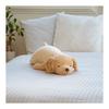 Ribuhaato Poduszka do ciała Premium Zwierzątka Nemunemu Golden Retriever Sora Rozmiar L (Całkowita długość około. 74cm) Puszysta, miękka poduszka-pluszak na prezent