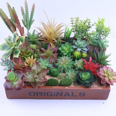 Kendin Yap Simüle Sukulent Bitki Saç Ekimi, Çiçek Aranjmanı ile Mini Sahte Sukulent Bonsai, Simüle Bitki