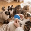 Portable Handheld Cat Nail Scratch Board Sandpaper Grinding Pad Cat Grooming Tool  Cleaning