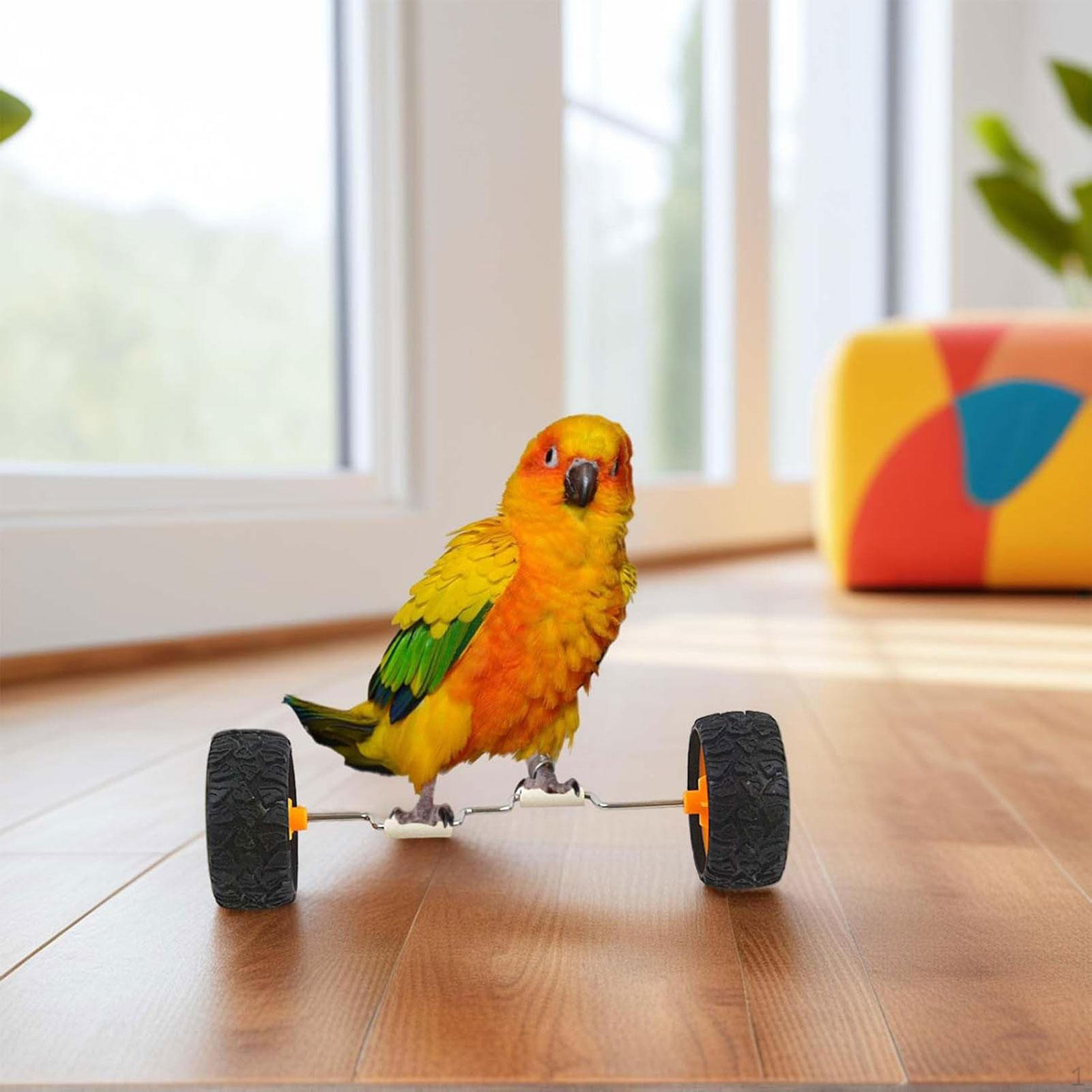 

Parrot Balance Toy Bird Foot Training Interactive Exercise Muscle, Creative Feet Toys for No Box