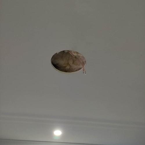 Gunpla Plasterboard Saw, 150mm, Gardening Pruning