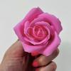 Pink Soap Rose