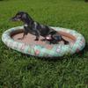 PVC Inflatable Pet Float: Cat & Dog Swimming Ring with Printed Logo - Available In 8 Colors