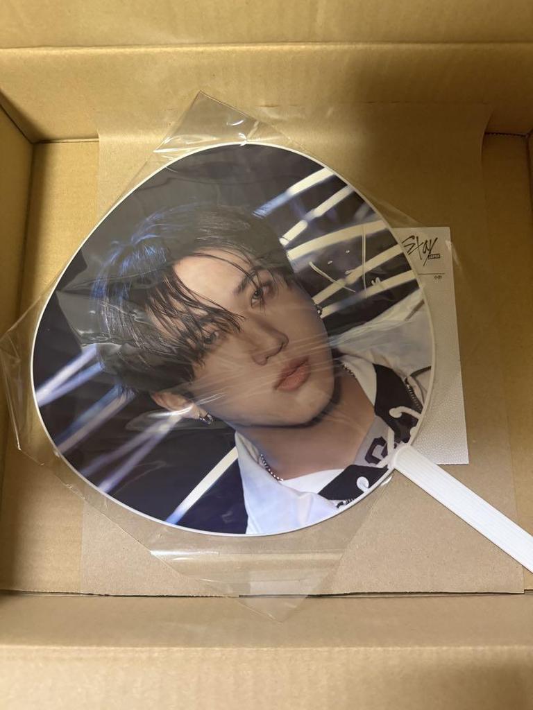 [USED] Stray Kids Changbin autographed fan