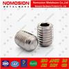 DIN916 316 Stainless Steel Headless Set Screws with Pointed End: M3, M4, M5, M6