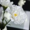 6Pcs Faux Silk Flower Material Artificial Carnation Flower Realistic No Watering Anti-fade Fake Flower DIY Gift Mother Day Adult Sex Wear