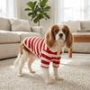 Soft Fabric Small Dog Clothes Shirt Puppy Daily Wear Dog Casual Apparel  Small Breed Puppies