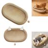 Cat Scratcher Bed Multipurpose Oval Bowl Scratching Board