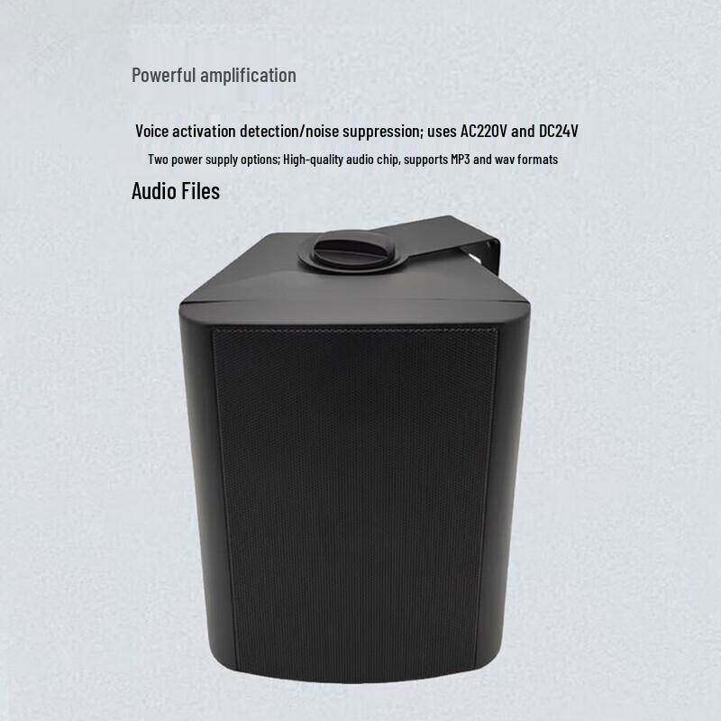 Yijiatong SIP Ceiling Speaker Amplifier (CN Version)