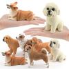 Exquisite PVC Farm Dogs Model Teddy Dog Shiba Inu Corgi Lifelike Realistic Pet Figurines Puppy Action Figures Desktop Ornament