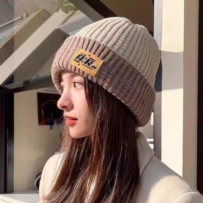 Autumn and Winter Warm Versatile Ear Protection Double-sided Wearing Knitted Wool Hat Women's Thickened Pile Hat Casual Cold Hat