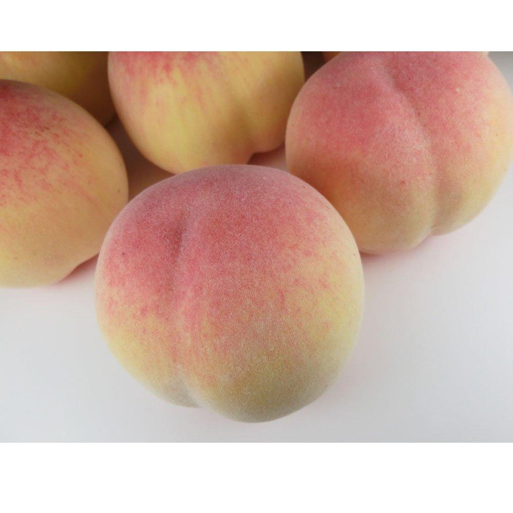 GuCra Peach Lifelike Set of Food Fruit Models Models, 8, Samples, (UP)