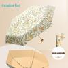 Accesorii – Umbrele