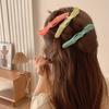 6Pcs Professional Alligator Hair Clips Black Hairdressing Hair Grip Crocodile Hairpins  Headdress