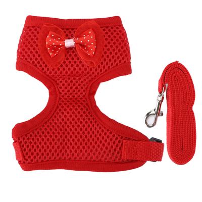 Arnés y Correa Ajustables para Pollo Cómodo Transpirable Chaleco para Mascota Gallina para Gallinas Gallos M Rojo