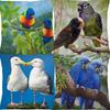 Textile pentru bucătărie și sufragerie – Huse pentru perne