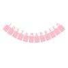 Baby's 100-Day Birthday Photo Frame Bunting - Decorative Wall Banner