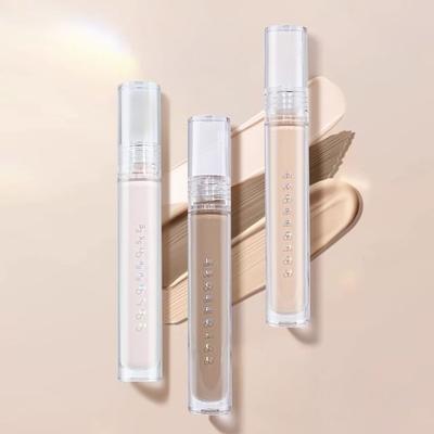 COLORROSE - Liquid Highlight / Contour / Concealer