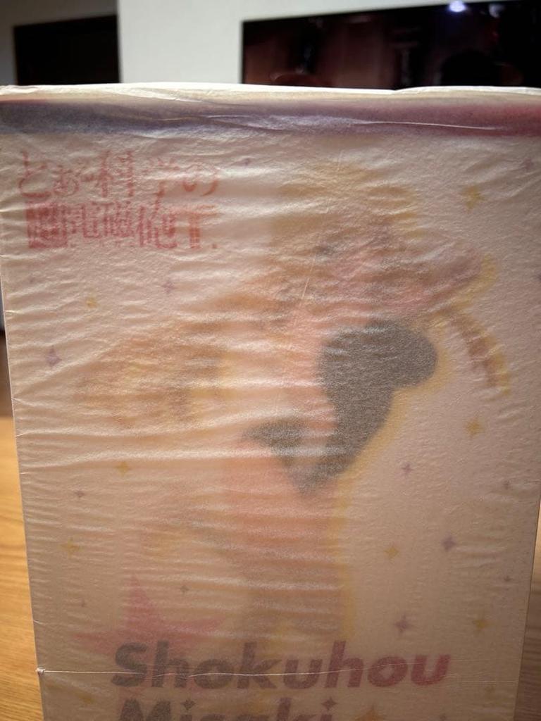 [USED] "A Certain Scientific Railgun T: Misaki Shokuhou" 1/7 scale