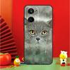 British Shorthair Cat For Realme 15 Pro GT7 GT6 10 11 12 13 14 Pro Plus C67 C63 C61 C55 C51 C53 C35 C75 C65 Case