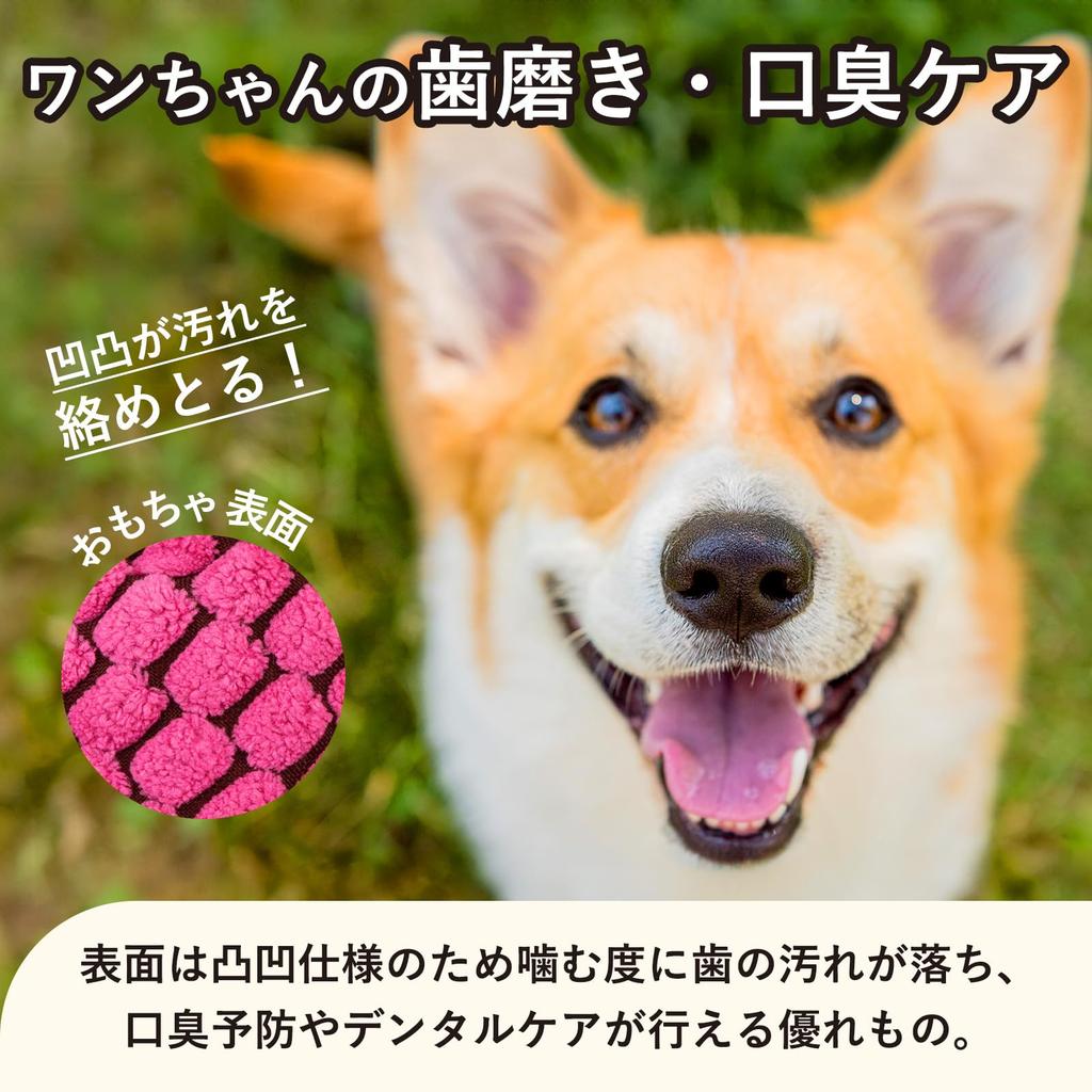 Pet Kenkodo Dog Chew Set of 2 to Large Chews and Helps Brush Treats Bad and Relieves Stress Toys, Dinosaur, (Small Dogs), Squeaks, Teeth, Breath,