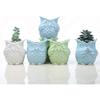Happyyami Owl Design Ceramic Succulent Planter Pot for Home Office Decor Versatile Container for Cactus and Flowers Cute Animal Pot with Fine