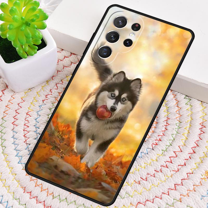 Siberian Husky Sled Dog TPU Phone Case For Samsung Galaxy Note 10 Pro S26 S25 S24 S23 S22 Ultra Plus S21 FE S20 Shockproof Cover