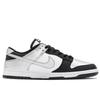 Nike Dunk Fisher Silver Wing Herringbone Abrasion Resistant Abrasion Resistant Low top Skateboard Shoes Men's HF5441-100(TeamA-)