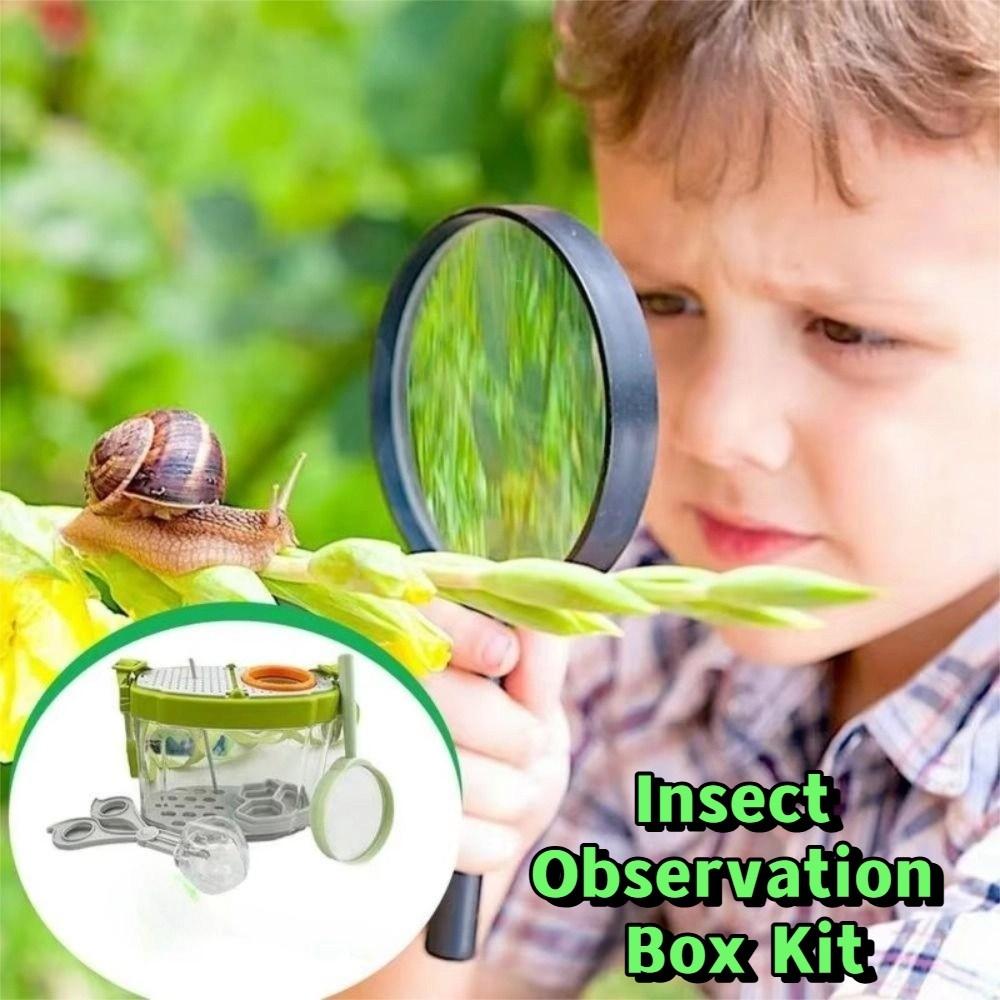 Breathable Silkworms Breeding Tank Adjustable Straps Insect Feeding Bin  Science Observation