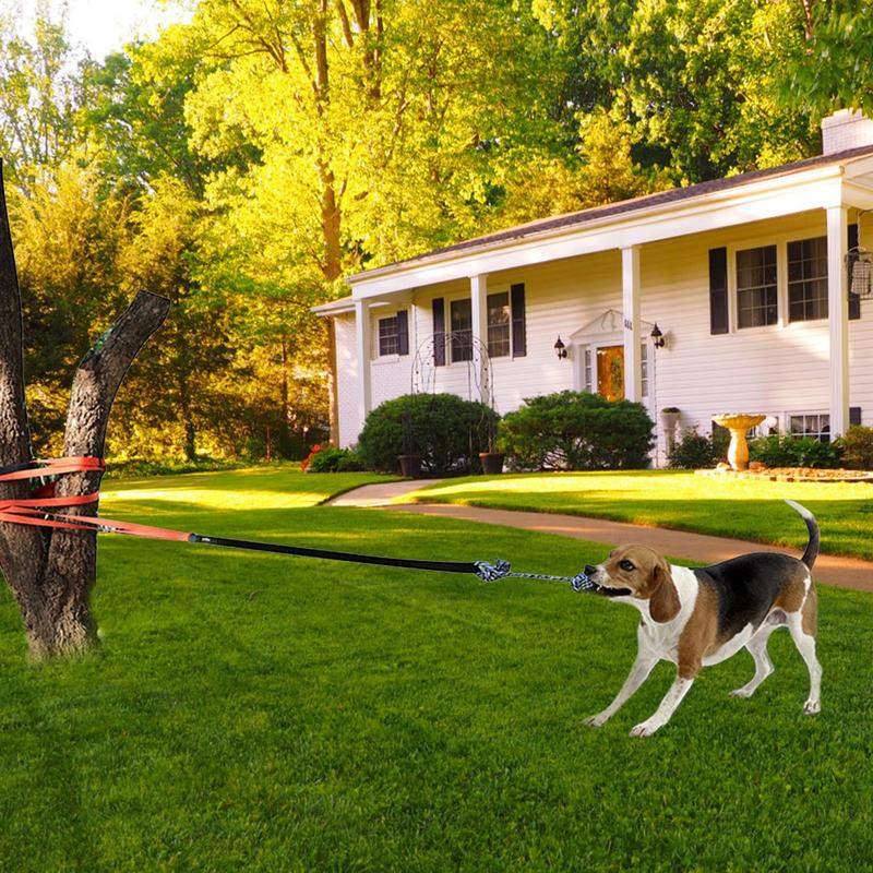 Hund Tauziehen Spielzeug Leine Zugseil Hund Seilspielzeug Hund Zugspielzeug Mit Ball Interaktive Hundespielzeuge Hund Baum Zugspielzeug Zum Ziehen Schütteln