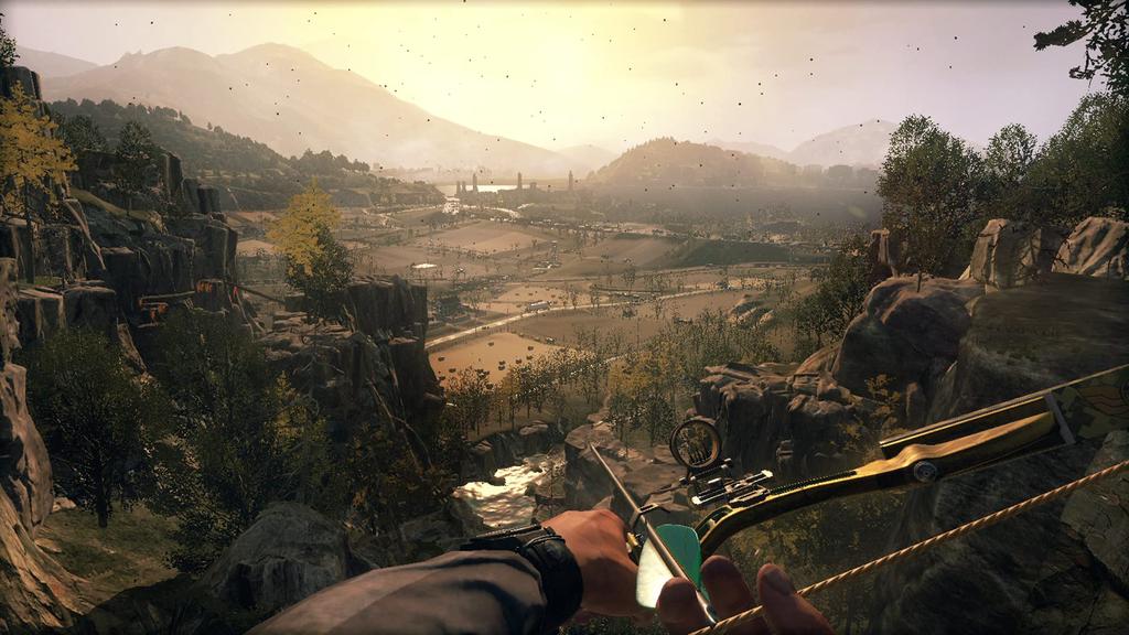 Dying Light Platinum Edition Switch Rating - [CERO "Z"]