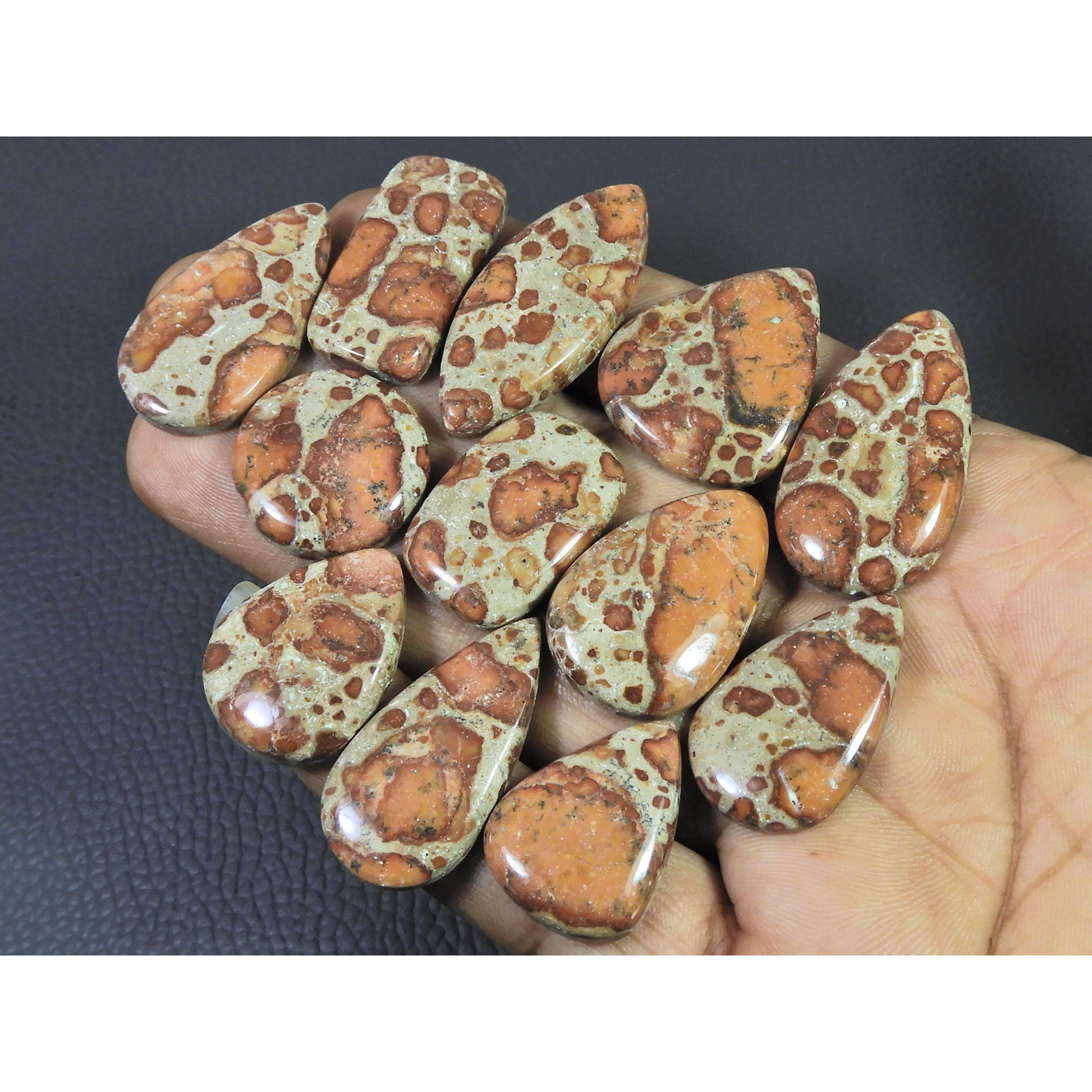 248Cts. Natural Asteroid Jasper Mix Shape Cabochon Loose Gemstone 12 Pcs Lot C-2448