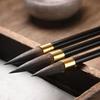 Ash-Tailed Mouse Whiskers Calligraphy Brush Set: Large, Medium, Small - Regular & Running Script with Metal Pen Holder for Beginners