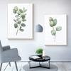 Akwarelowe Plakaty Liściowo Zielone Botaniczne Wydruki Eukaliptusa Obraz na Płótnie Sztuka Ścienna Obrazy do Salonu Dekoracja Domu