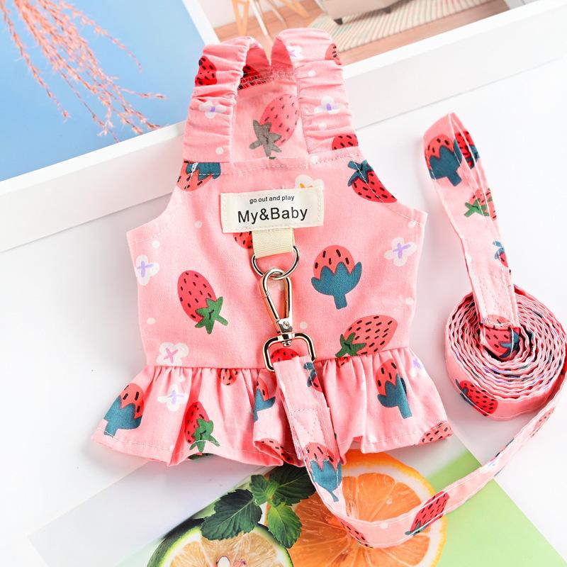 Pet Small Dog Dog Clothing Puppy with Leash Yorkshire Pomeranian Bear Teddy Skirt Spring Summer Thin