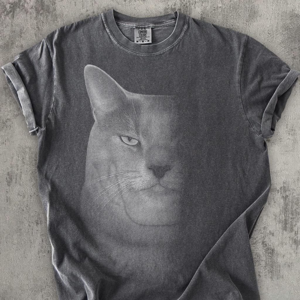 Funny Chad Cat T shirt, Vintage Graphic Tee, Cats Lover Gift, Silly Shirts, Unhinged Clothes, Meme T shirt, Weird Shirt, Comfort Colors