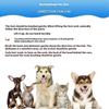 Pet Dog Hair Trimmer Comb Cutting Cut With 2 Blades Grooming Razor Thinning Dog Cat Combs Dog Cat Hair Remover Hair Brush Comb